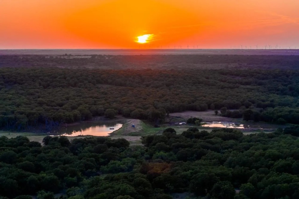 Sway Valley Ranch featured image