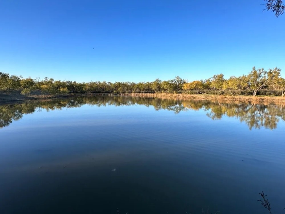 443 - Acres Mills County featured image
