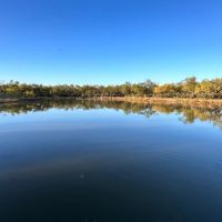 443 - Acres Mills County
