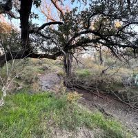 443 - Acres Mills County images 4