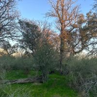 443 - Acres Mills County images 5