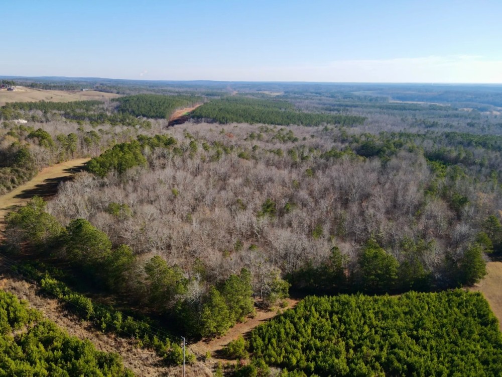 58 - Acres in Randolph County featured image