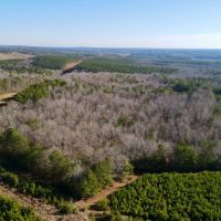 58 - Acres in Randolph County images 1