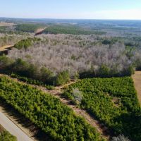 58 - Acres in Randolph County images 2