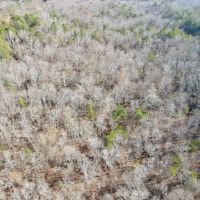 58 - Acres in Randolph County images 3
