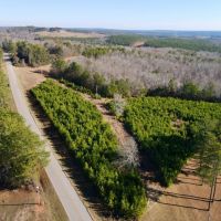 58 - Acres in Randolph County images 4