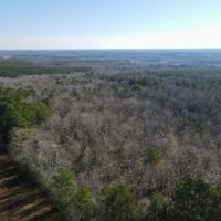 58 - Acres in Randolph County images 5