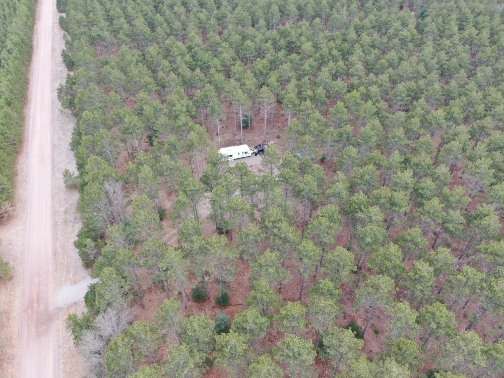 Adams County 45 Acre Hunting Camp featured image