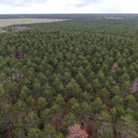 Adams County 45 Acre Hunting Camp images 3