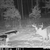 Adams County 45 Acre Hunting Camp images 4