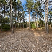 Adams County 45 Acre Hunting Camp images 5