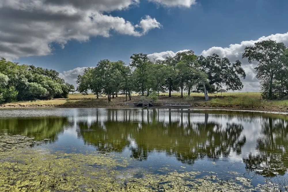 County Road 201 Weimar TX 78962 featured image