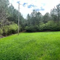 52.2 -acres near Greenville AL