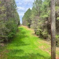 52.2 -acres near Greenville AL images 3
