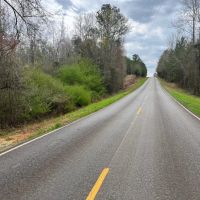 52.2 -acres near Greenville AL images 4