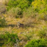Llano Vista Ranch images 4
