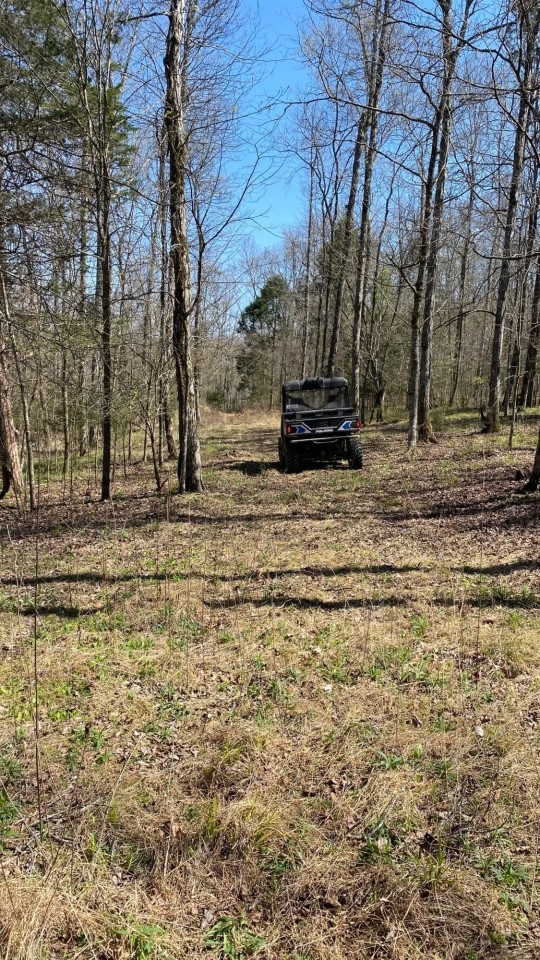 169 -acres Franklin Co TN featured image