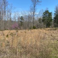 169 -acres Franklin Co TN images 2