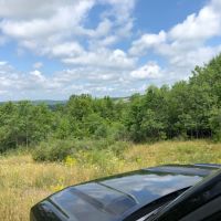 58 acres Recreational Land and Building Lot in Whitney Point NY 3494 NYS Route 206