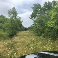 58 acres Recreational Land and Building Lot in Whitney Point NY 3494 NYS Route 206 images 4