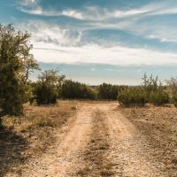 Negem Kendalia Ranch images 2