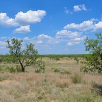 Grape Creek Ranch