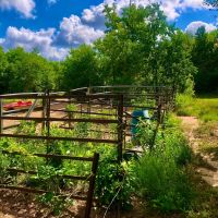 60 Development Acres Cleveland Texas images 2