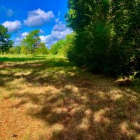 60 Development Acres Cleveland Texas images 3