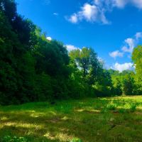 60 Development Acres Cleveland Texas images 4
