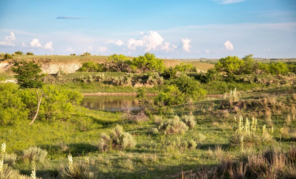 FJ Hommel Donley County 500 Ranch featured image