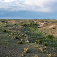 FJ Hommel Donley County 500 Ranch images 3
