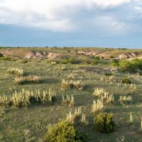 FJ Hommel Donley County 500 Ranch images 4