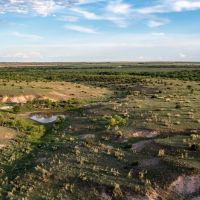FJ Hommel Donley County 500 Ranch images 5