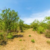 Fuentes Hill Ranch images 3