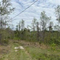 39 Acres Glynn County GA
