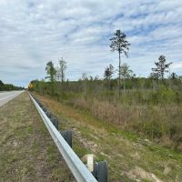 39 Acres Glynn County GA images 2