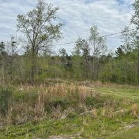 39 Acres Glynn County GA images 3