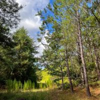 70 Acres T-6 CR 364