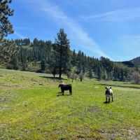 Perry Mill Ranch images 2