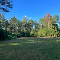 185 acres in Salt Well Jefferson images 4