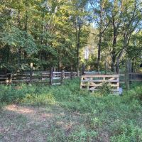 185 acres in Salt Well Jefferson images 5