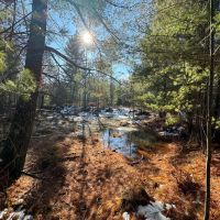 Beautiful Sportsman s Retreat Jackson County WI images 2