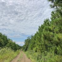 667 Acres Theuvenins Creek images 2