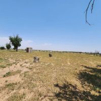 1016 E COUNTY ROAD E LAMESA TX 79331 images 3