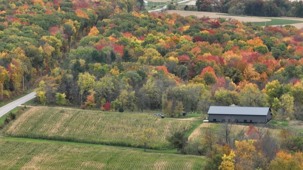Large Shed With Hunting Land for Sale in Southwest Wisconsin featured image