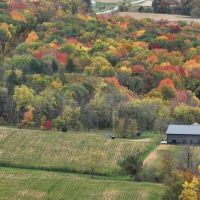 Large Shed With Hunting Land for Sale in Southwest Wisconsin