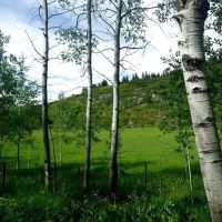 Pleasant Valley s Yampa River Ranch images 4