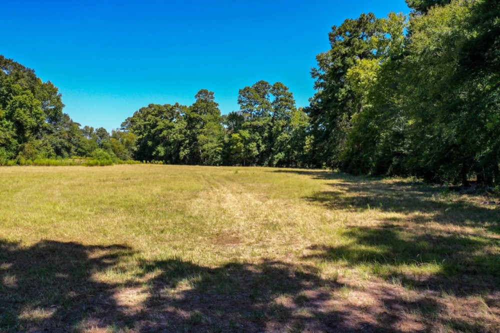 90.44 Acres Willow Springs Rd featured image