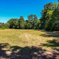 90.44 Acres Willow Springs Rd images 1
