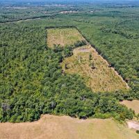 90.44 Acres Willow Springs Rd images 2